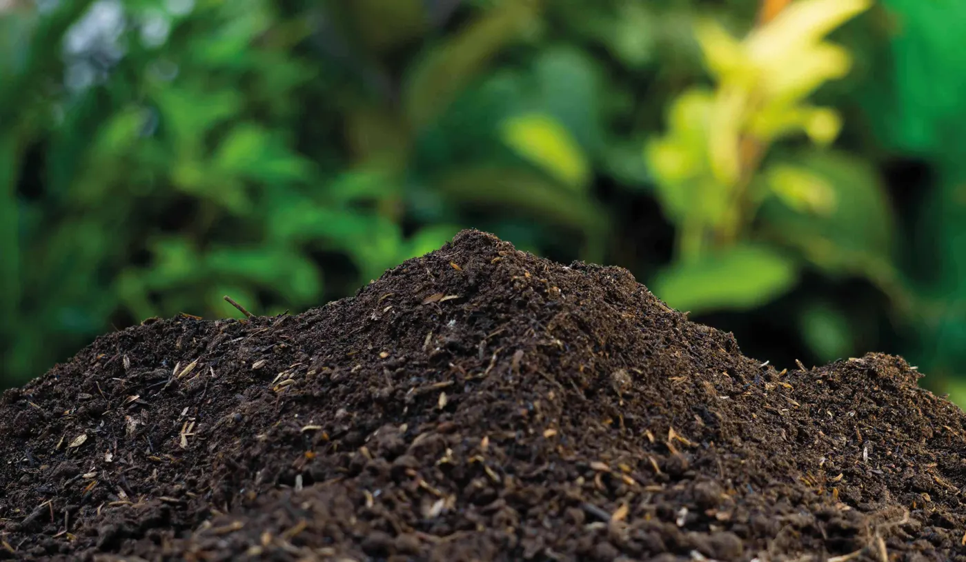Compost oscuro y terroso entre hojas verdes