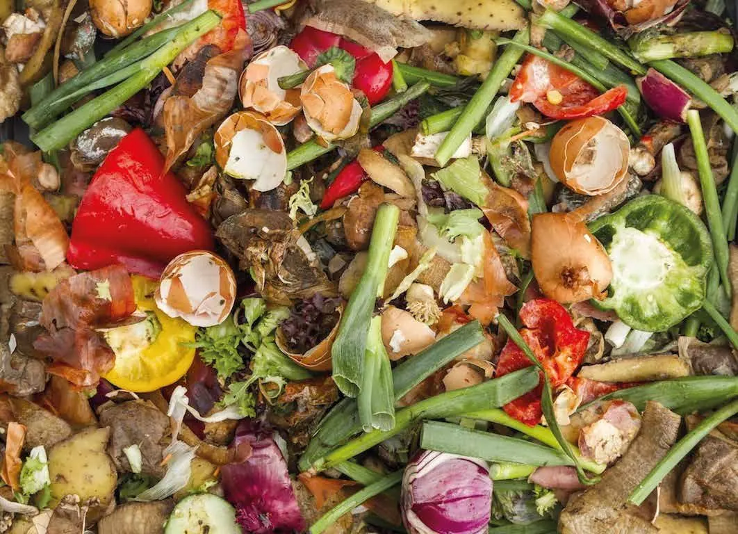 Residuos orgánicos de cocina: cáscaras, verduras y frutas